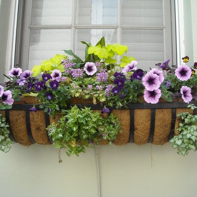 images